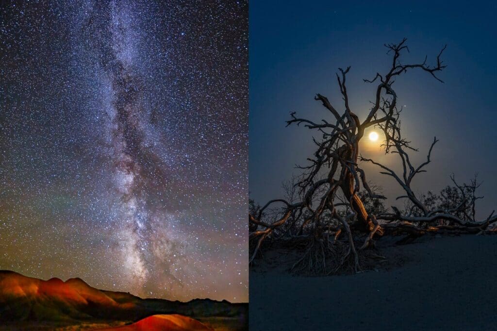 Milky Way and dead tree under moon.