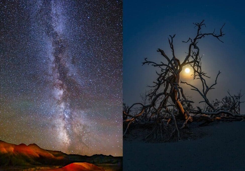 Milky Way and dead tree under moon.
